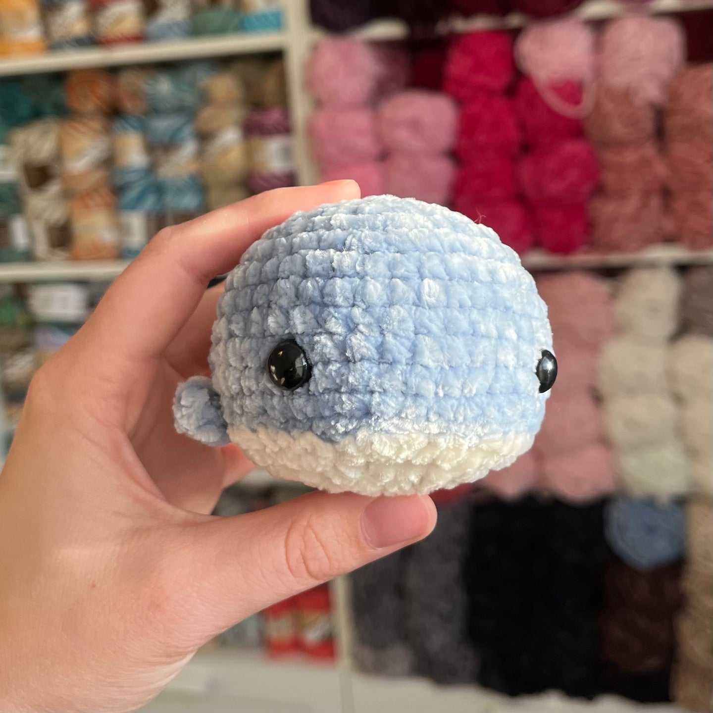 Little Whale